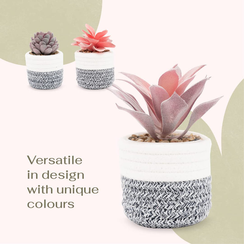 Viverie 3pcs Fake Succulent Plants in Boho Rope Basket Home Decor Indoor