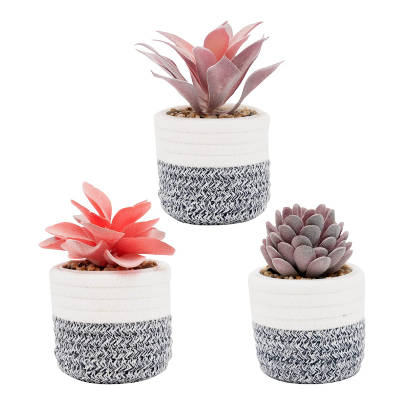 Viverie 3pcs Fake Succulent Plants in Boho Rope Basket Home Decor Indoor