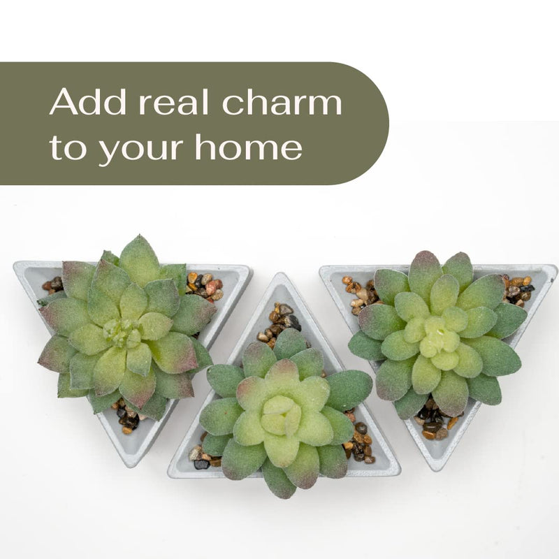 Mini Faux Succulent Plants in Grey Pots - Set of 3 for Home Decor