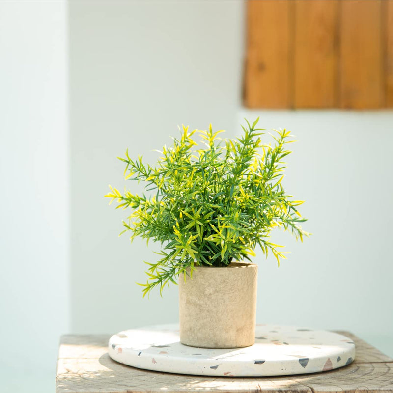 Velener Artificial Rosemary Potted Plant - Decorative Greenery