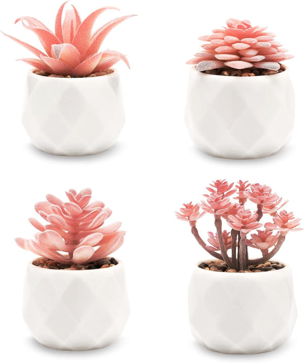 Velener Mini Succulent Color Light Pink