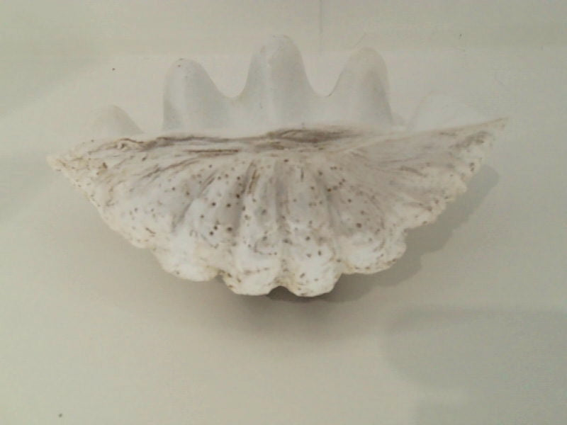 Huey House Small Clam Shell Sculpture White Resin Replica Home Size 8.75lx5.6wx4.33h