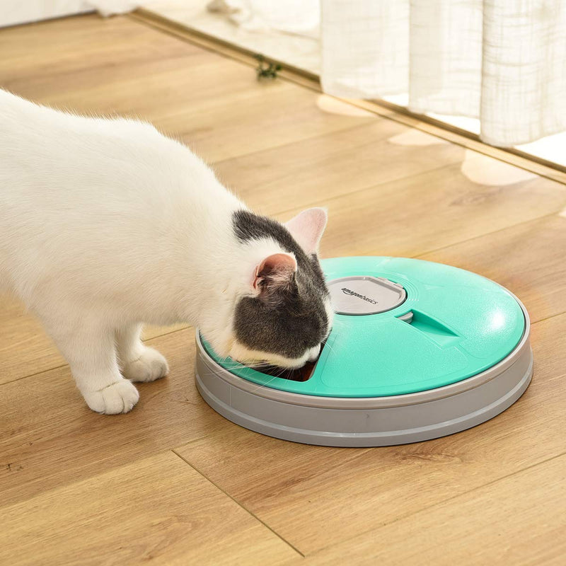 Amazon Basics Automatic Electronic Pet Feeder 6 Portions Plastic Teal 12x12x2.59