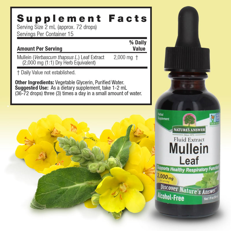 Alcohol-Free Mullein Leaf Extract for Respiratory Health 1oz