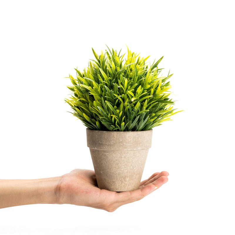 Velener Faux Grass Plant in Eco-Friendly Pot - Small