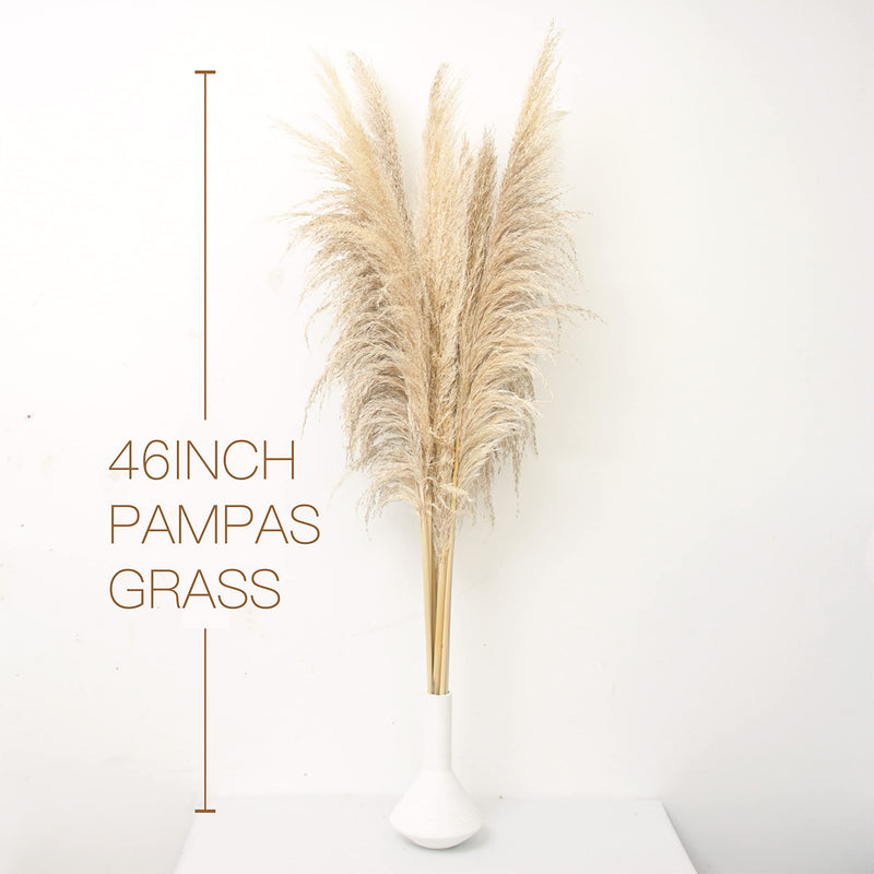 46-Inch Natural Dried Pampas Grass - Boho Decor, 8 Stems Bundle