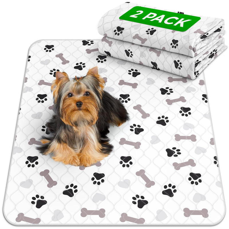 Washable Dog Pee Pads - Large 48x48, 2 Pack