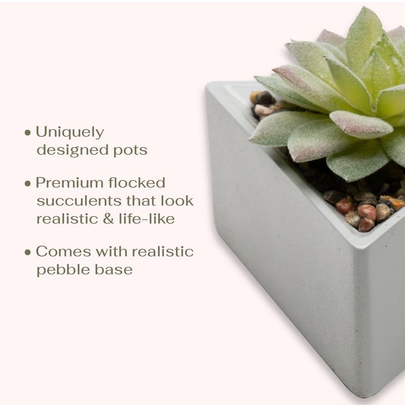 Viverie Stackable Faux Succulents in Triangular Pots - Indoor Decor