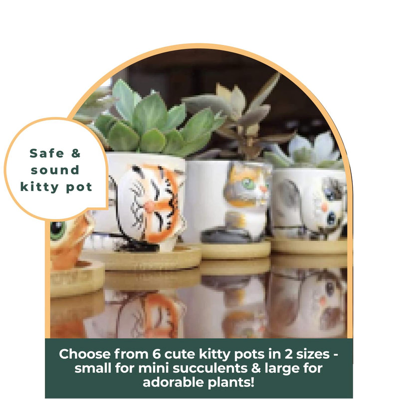 Window Garden Cute Cat Planter Pots 6 Mini Succulent Kitty Pots Cat Decor Vase