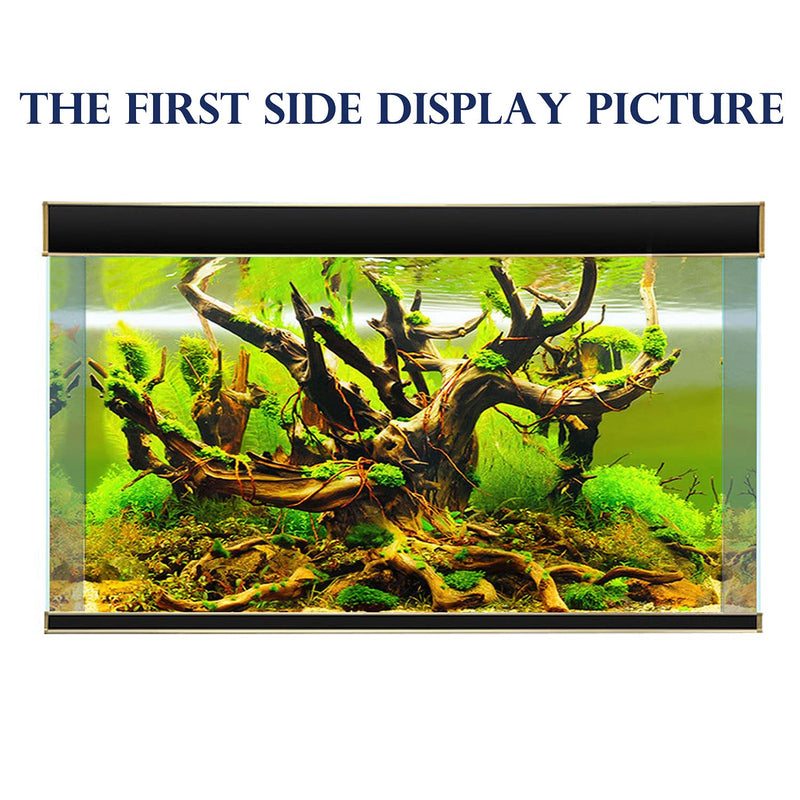 Colorful Seaweed Aquarium Background Poster 23" x 71"