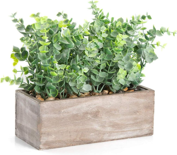 Velener Table Top House Plant and Box Sage Green Dark Green 9 Inches