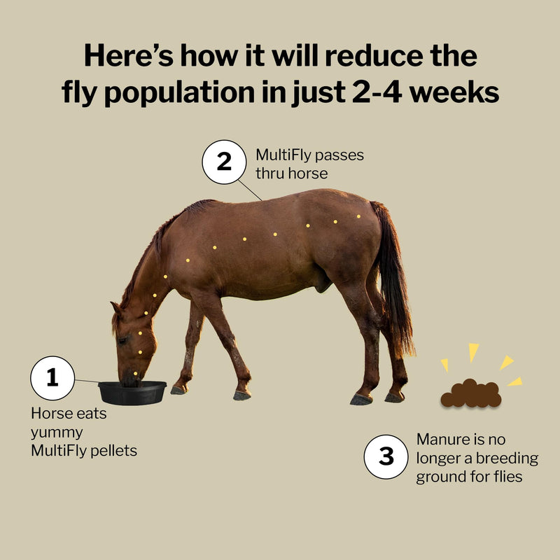 Formula 707 MultiFly Feed-Thru Fly Control Pellets for Horses - Palatable & Safe Fly Population Reduction (10 lb Bag - 182 Servings)