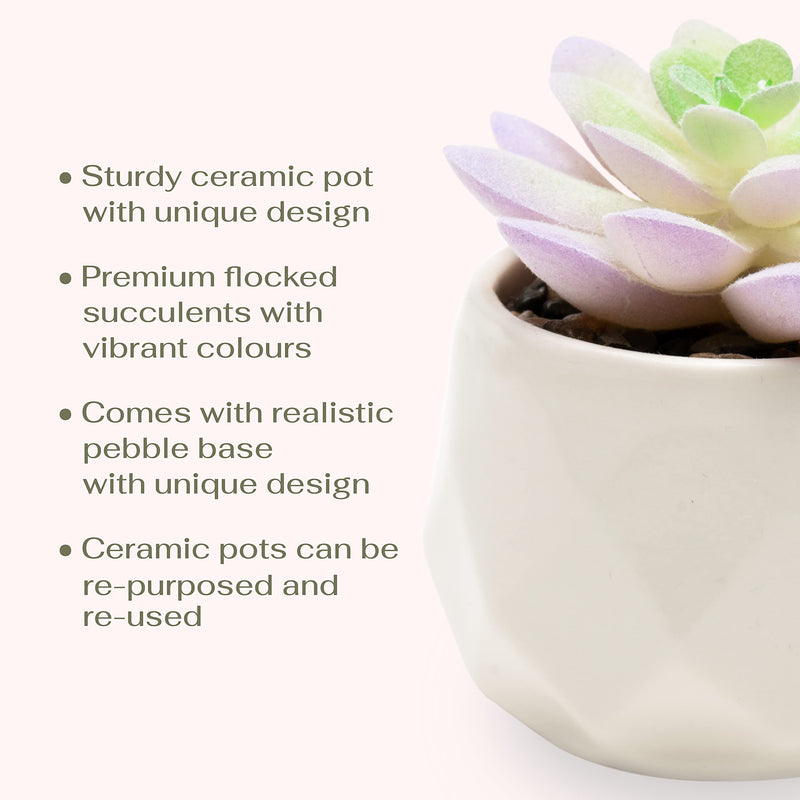 Mini Artificial Purple Succulent Plants in Ceramic Pots Home Decor