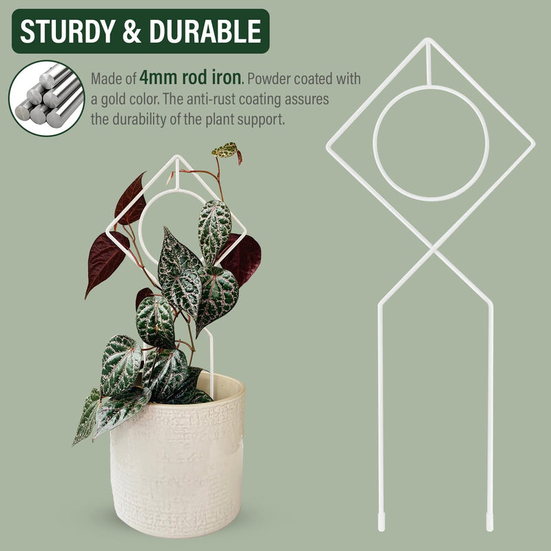 White Metal Plant Support Stake for Indoor Plants - 17" x 7"