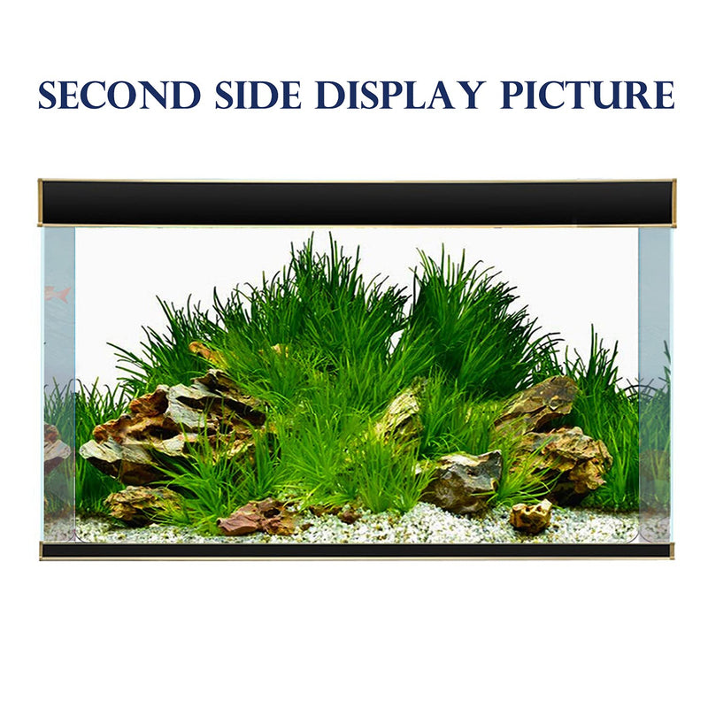 Colorful Seaweed Aquarium Background Poster 23" x 71"