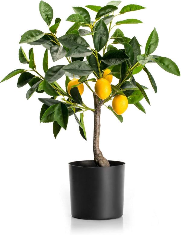 Velener Lemon Tree Color Dark Green Size 22 Inch