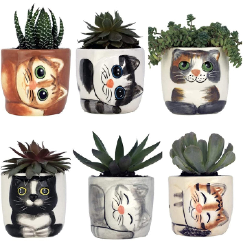 Window Garden Cute Cat Planter Pots 6 Mini Succulent Kitty Pots Cat Decor Vase