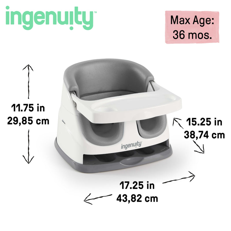 Ingenuity 2 in 1 Baby Booster and Floor Seat with Tray Slate