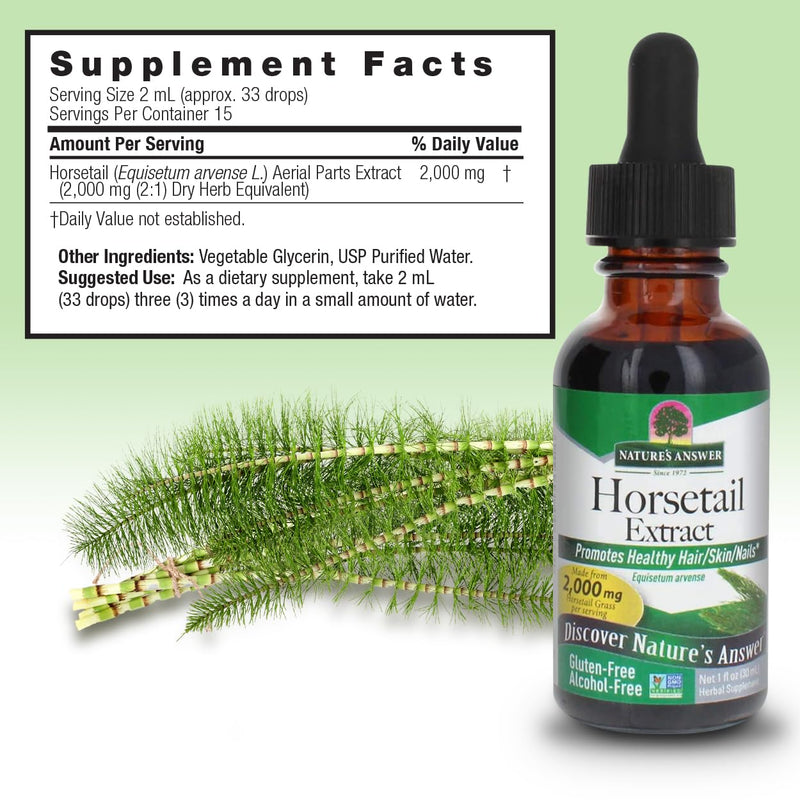 Horsetail Herb Extract Supplement for Hair and Nail Health 1 Fl Oz