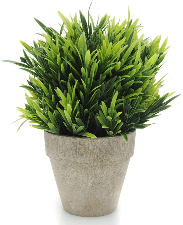 Velener Faux Grass Plant in Eco-Friendly Pot - Small