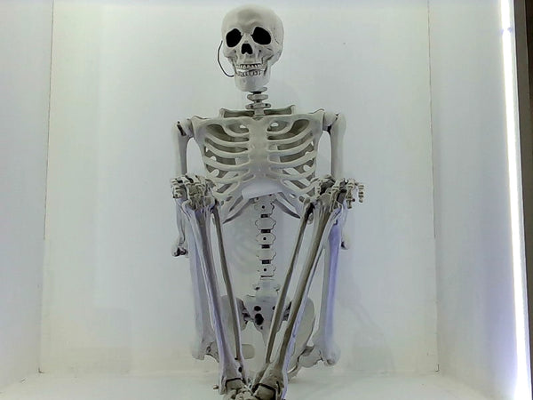 5.4ft Posable Full Body Skeleton Halloween Decor Accessory