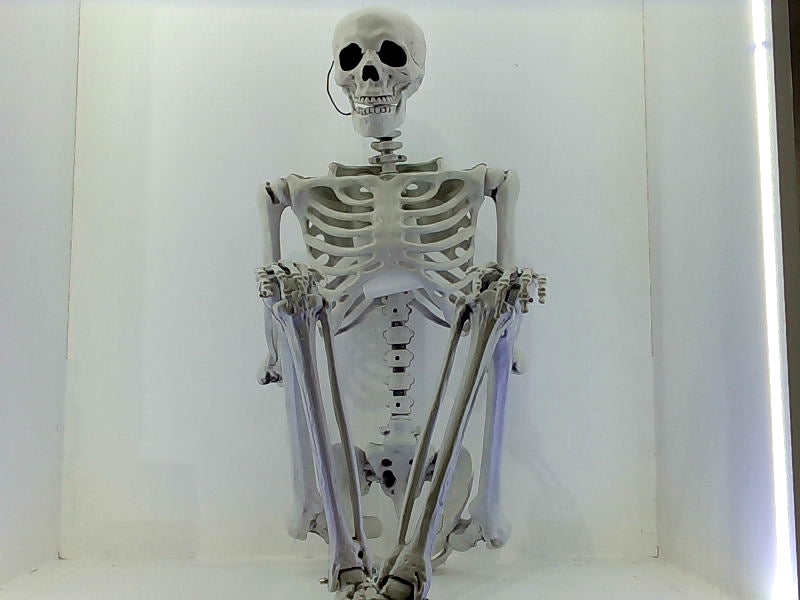 5.4ft Posable Full Body Skeleton Halloween Decor Accessory