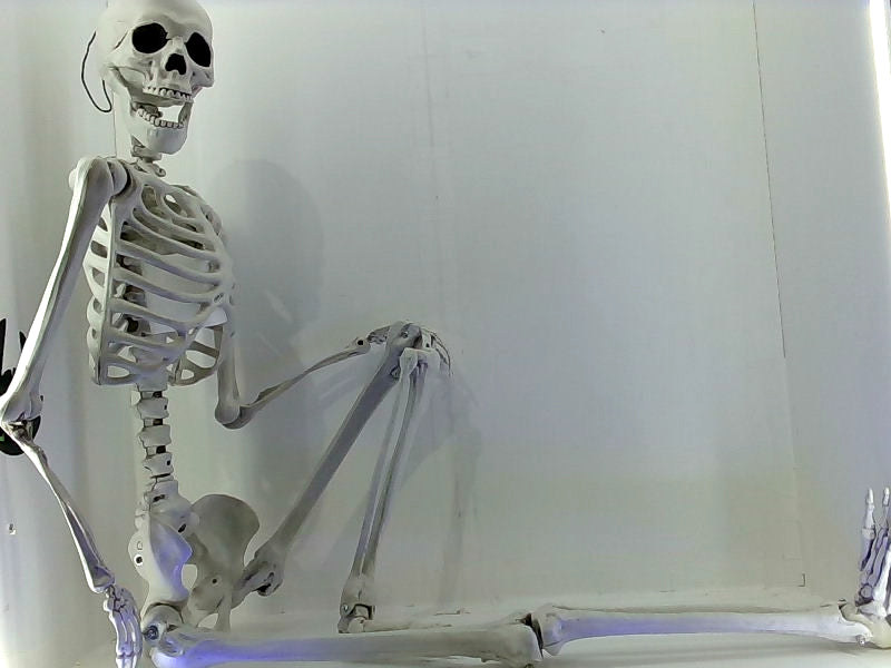 5.4ft Posable Full Body Skeleton Halloween Decor Accessory