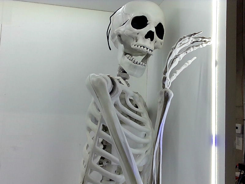 5.4ft Posable Full Body Skeleton Halloween Decor Accessory