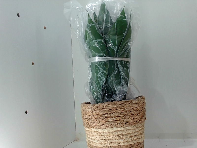 Artificial Agave Plant in Rattan Pot for Home Decor