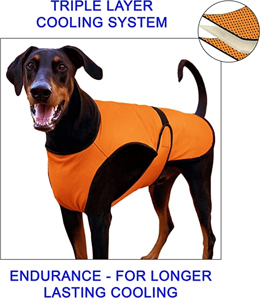 ORANGE DOGZSTUFF Dog Cooling Vest. Lightweight Jacket with Evaporative Cool Microfiber Medium Dogs