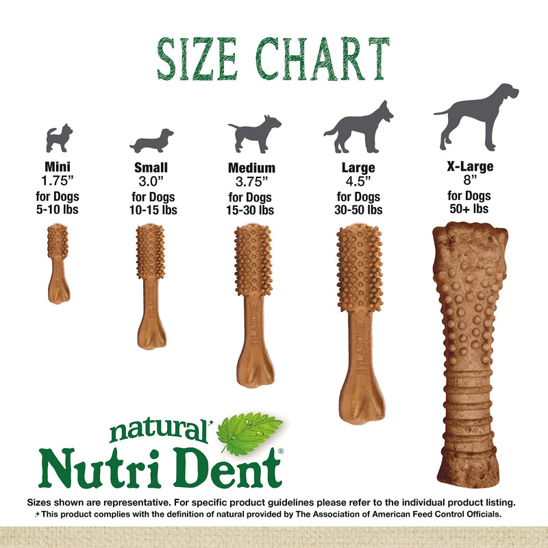 Nylabone Nutri Dent Dog Dental Filet Mignon Flavor Mini 160 Count Teeth Cleaner