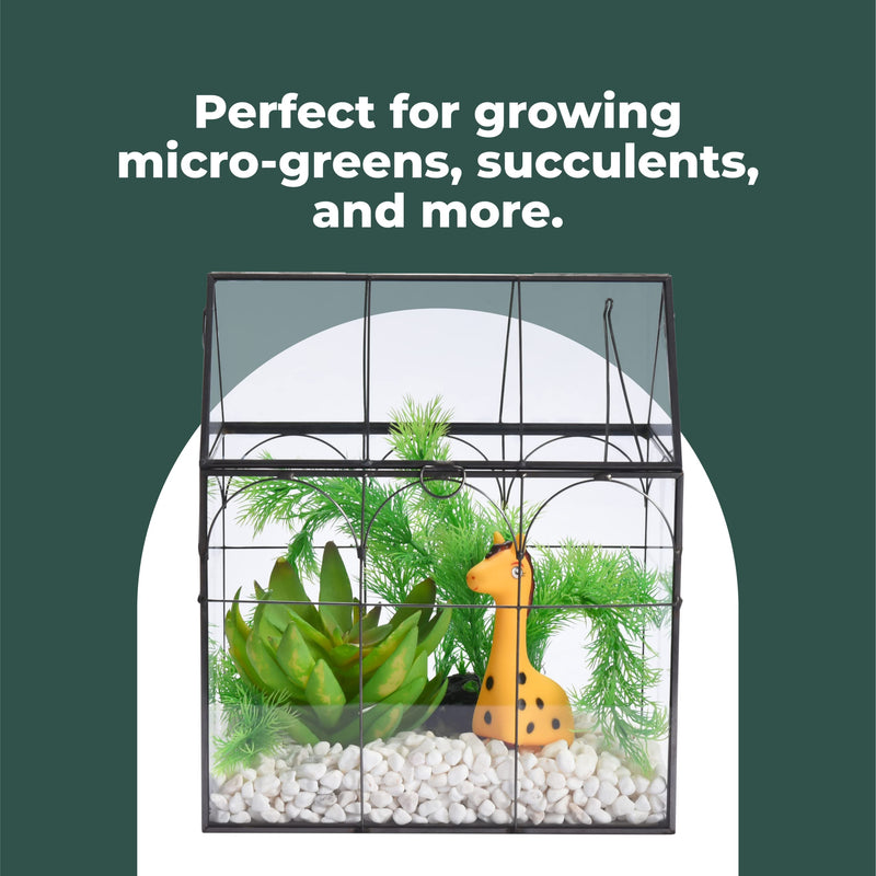 Glass Terrarium Lid Indoor Greenhouse Plant Decor 9x11x6 Inch Dome Terrarium Kit