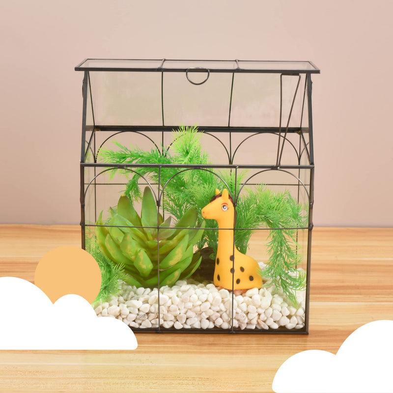 Window Garden Glass Terrarium With Lid 9x11x6 Inch Indoor Greenhouse Decor