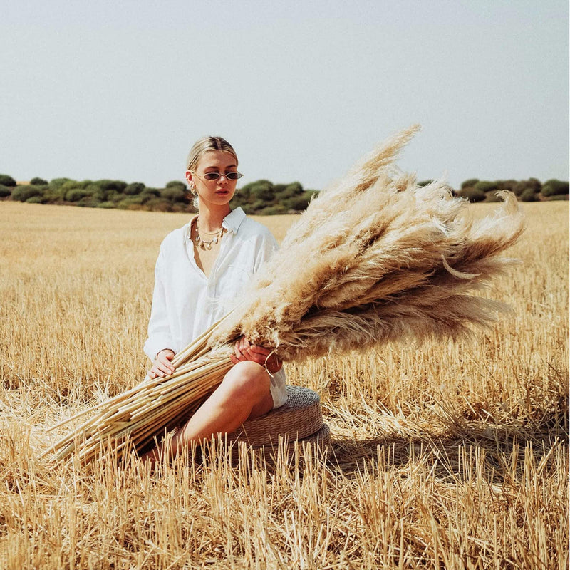 46-Inch Natural Dried Pampas Grass - Boho Decor, 8 Stems Bundle