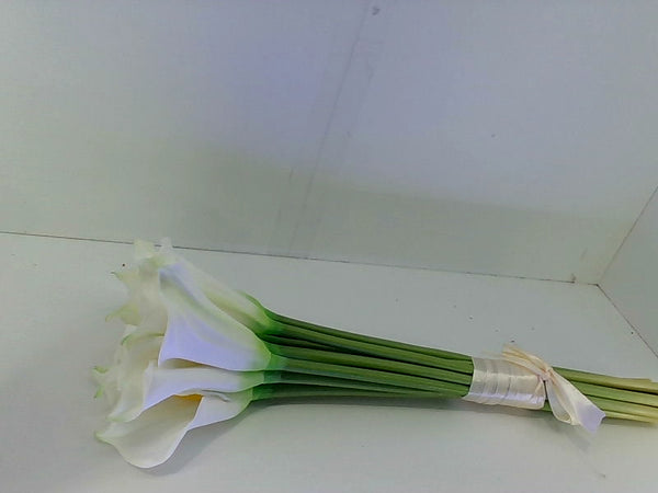 Viverie White Calla Lily Preserved Flowers With Led Nightlight One Size