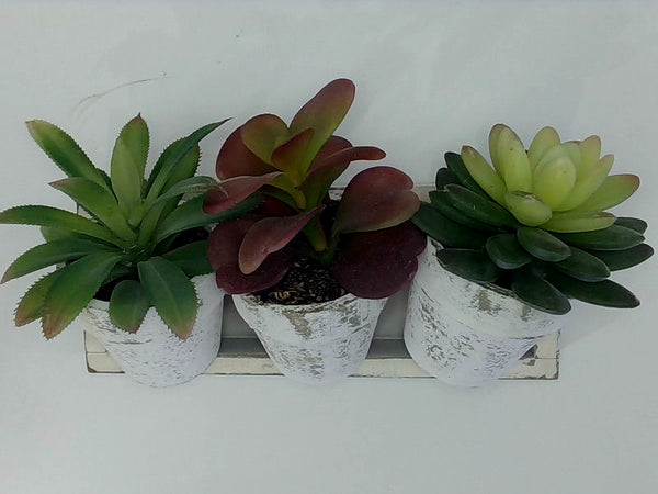 Velener Mini Artificial Plant With White Wooden Color Red/green Size Set Of 3