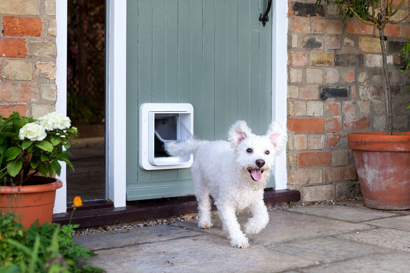 SureFlap White Microchip Pet Door for Cats & Small Dogs