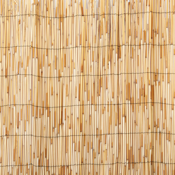 Natural Reed Fence Privacy Screen 2' x 14'