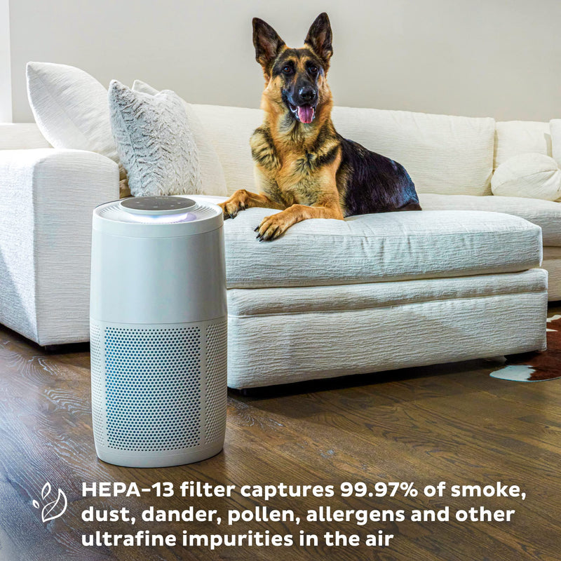 Instant HEPA Quiet Air Purifier From the Makers of Instant Pot with Plasma Ion