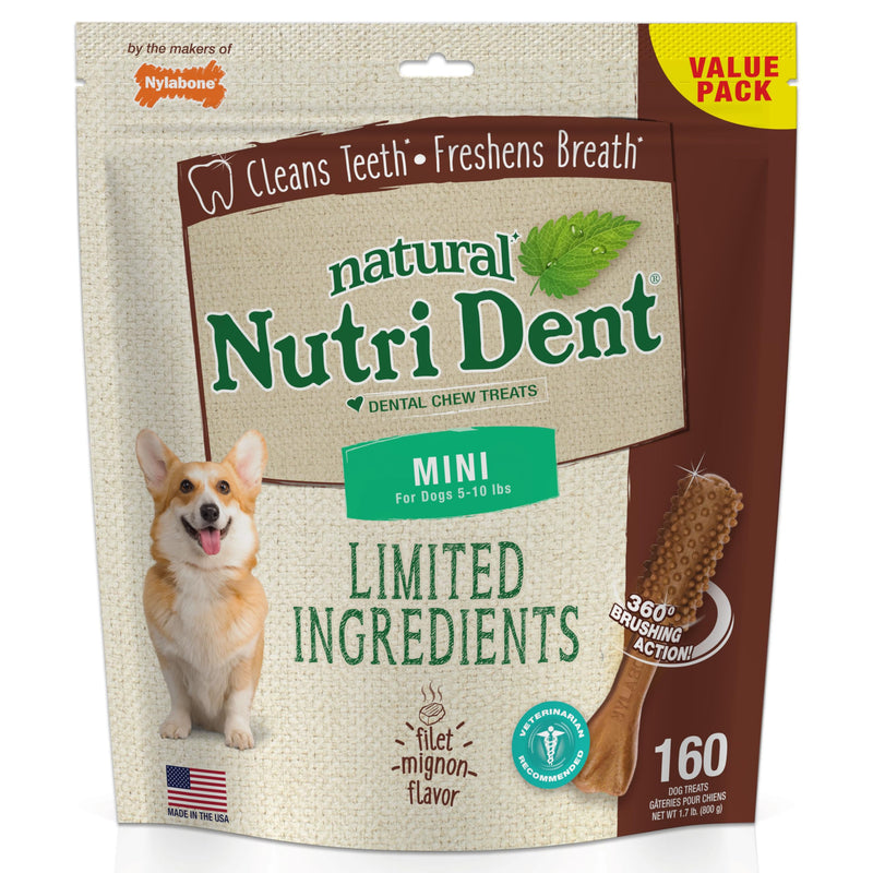 Nylabone Nutri Dent Dog Dental Filet Mignon Flavor Mini 160 Count Teeth Cleaner