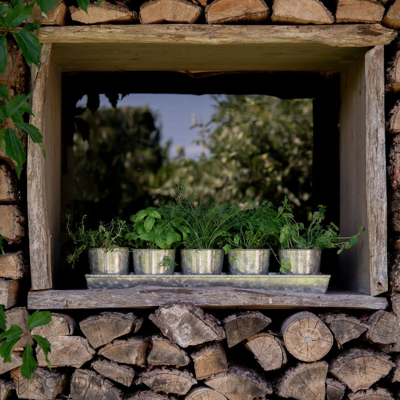 Scandinordica Galvanized Metal Herb Planter 5 Pot Indoor Outdoor Farmhouse Decor