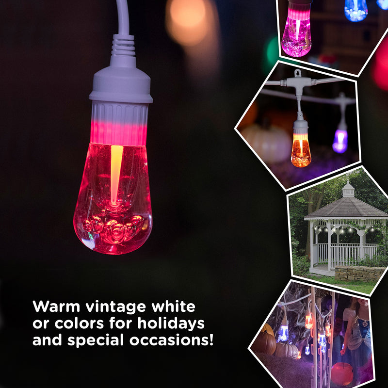 Enbrighten Vintage LED String Lights with Remote, 48ft