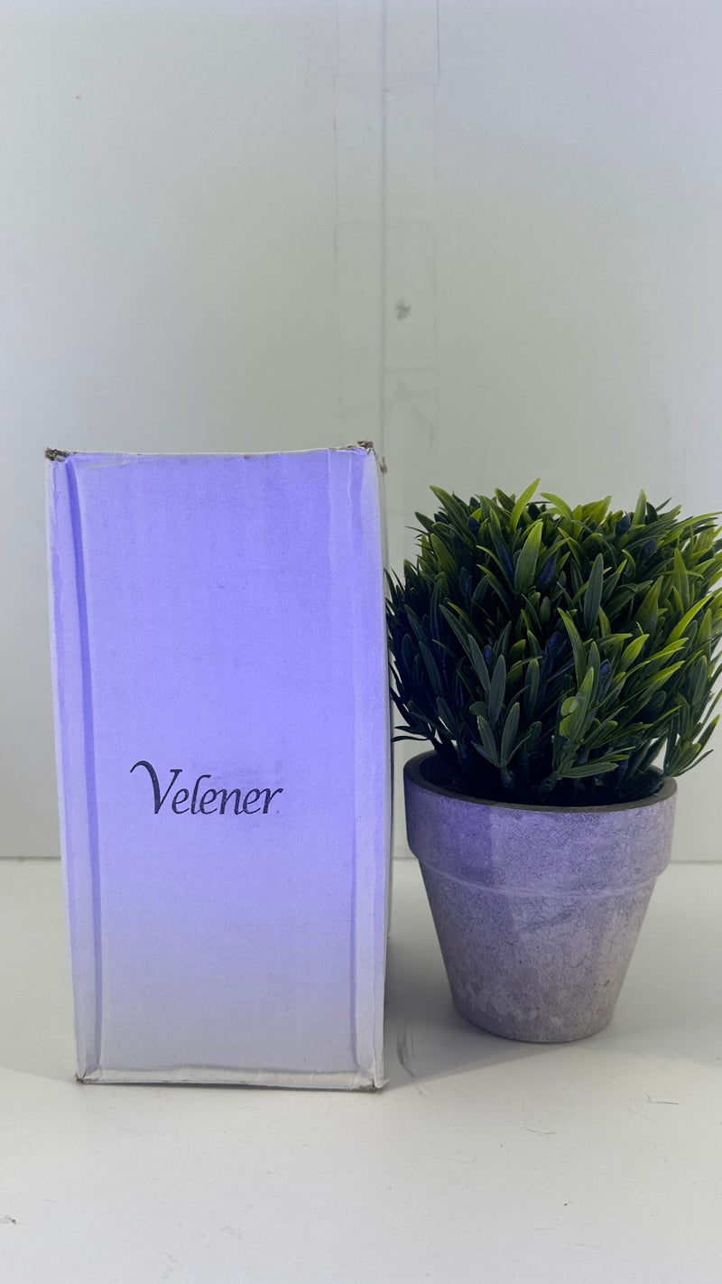 Velener Plant Color Dark Green