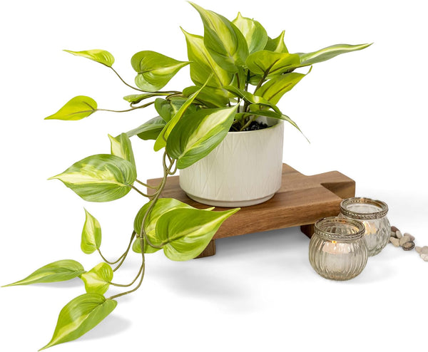 Kurrajong Farmhouse Fake Pothos Plant | Fake Plant For Shelf Decor |14" Artificial Trailing Ivy Plant With 5" Wide Ceramic Pot | Light Green Faux Ivy Plant | Feaux Ivy Pothos Plant Color Light Green Size 14" X 5" Wide