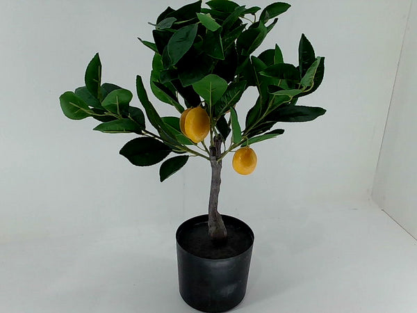 Velener Lemon Tree Color Dark Green Size 22 Inch