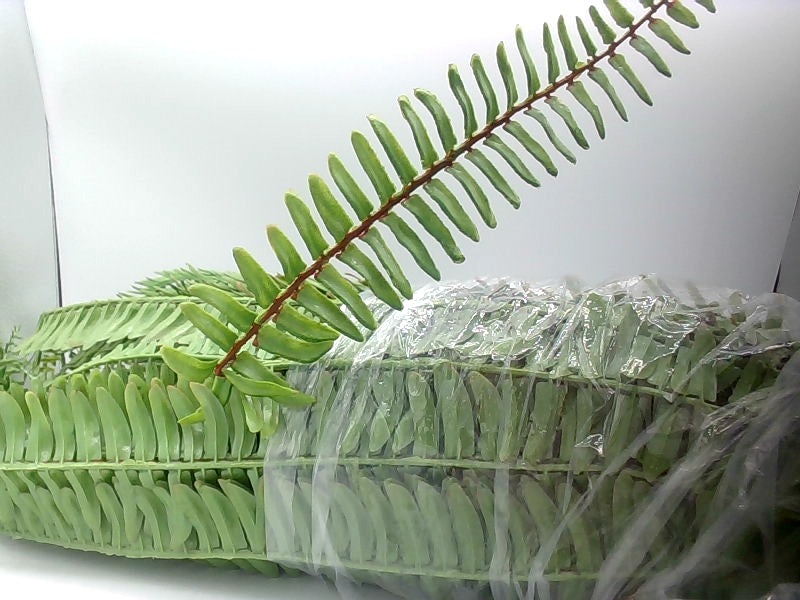 Artificial Greenery Fern Leaf Spray Home Decoration