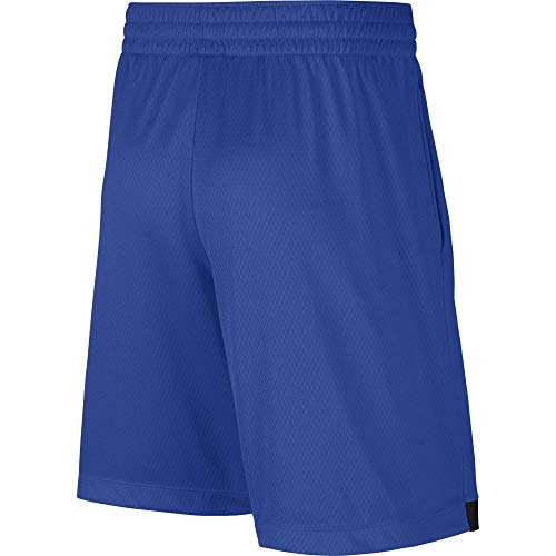 Nike Boys' Dri-FIT Training Shorts 8" Large - Game Royal/Black