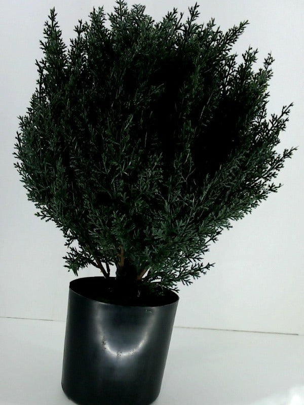 Autogen For 1820 Artificial Plant Color Dark Green Size 17 Inch