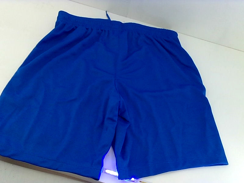 Nike Boys Royal Blue Dri-FIT Pull On Shorts - Medium