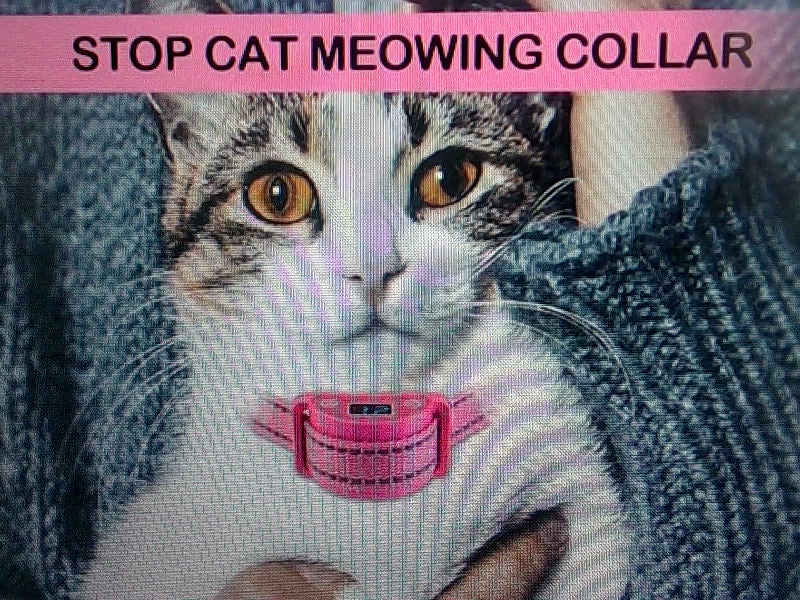 Cat Meowing Control Collar with LCD Display